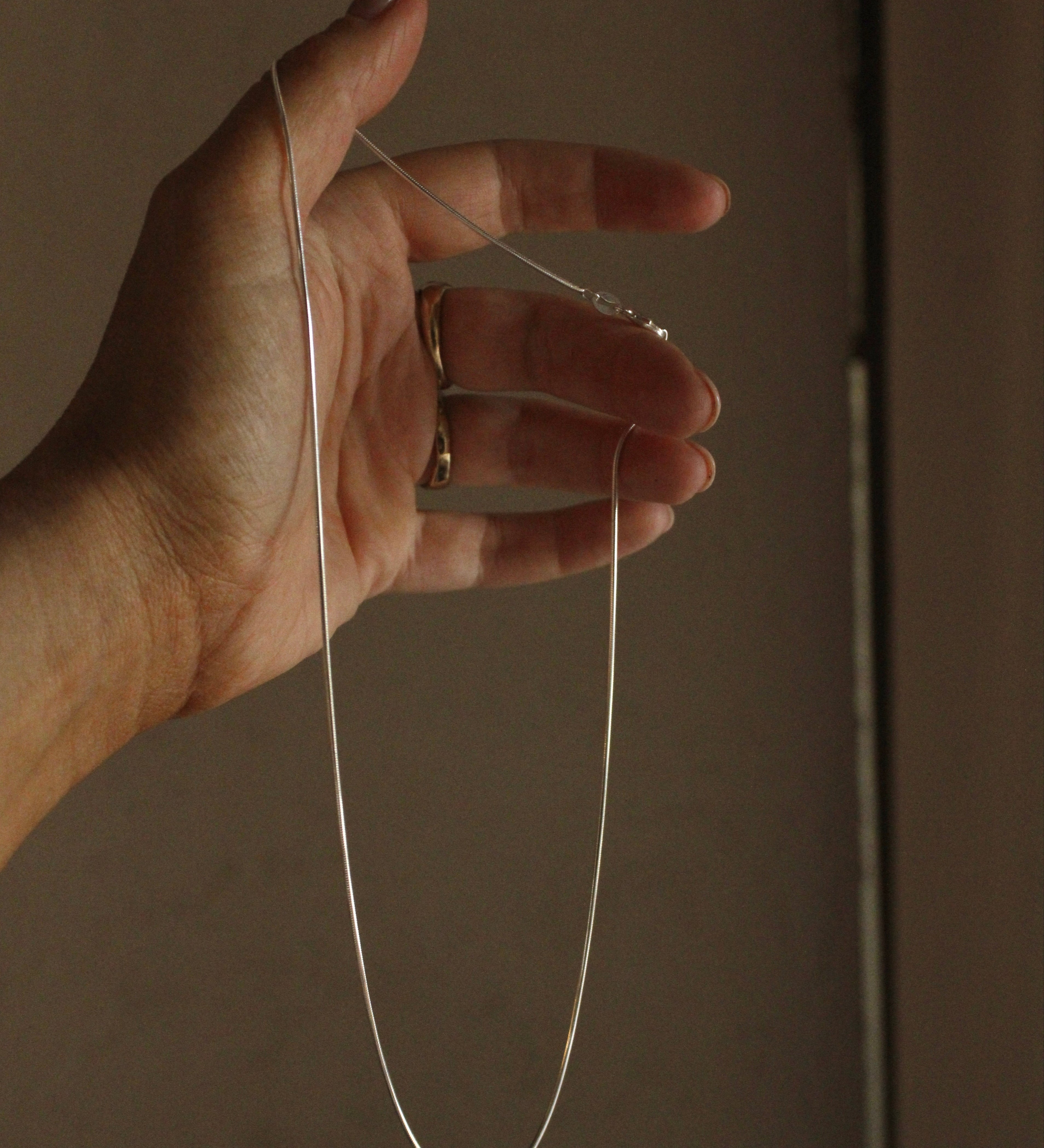 A hand with gold rings holds up the Trail chain, a delicate minimalist necklace perfect for everyday wear, against a softly lit plain background.