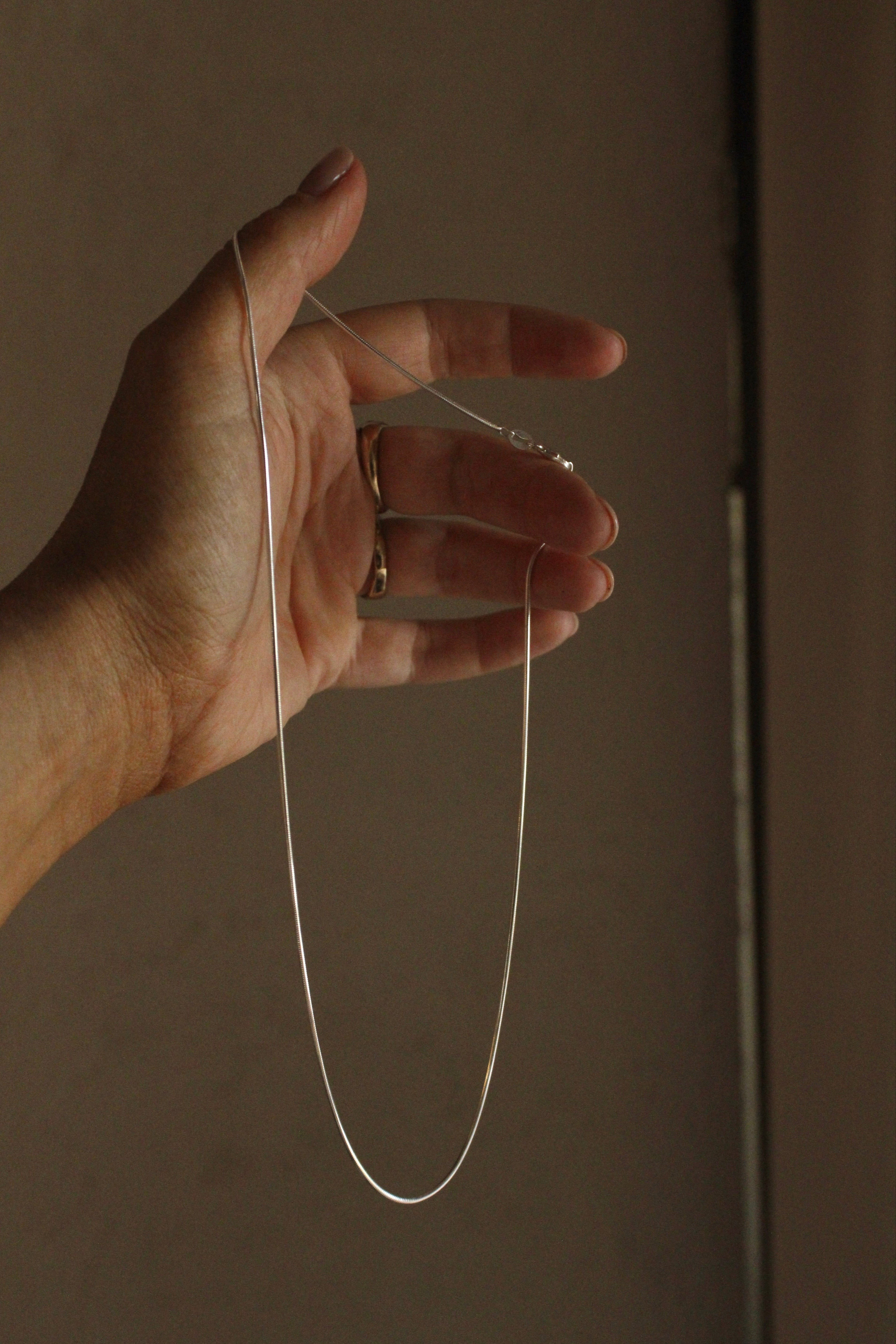 A hand with gold rings holds up the Trail chain, a delicate minimalist necklace perfect for everyday wear, against a softly lit plain background.